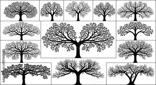 Collection of black and white stylized trees with varied branch and leaf patterns nature silhouette