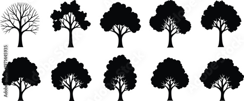 Ten black tree silhouettes with varied foliage and branches on white background nature