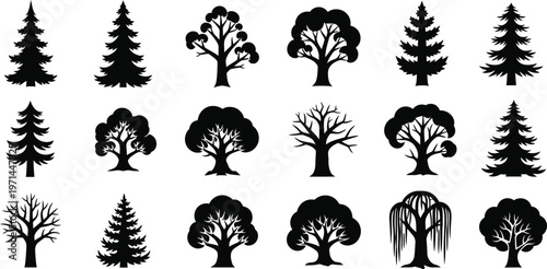 Collection of black silhouette trees including pine oak and weeping willow tree silhouette pine tree