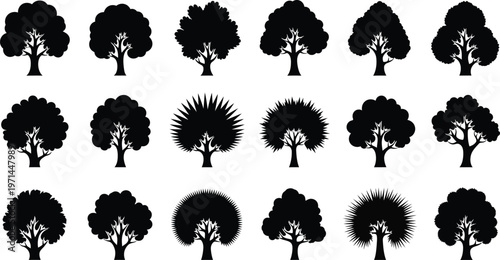 Collection of fifteen black silhouette trees with varied foliage shapes and branch structures tree silhouette