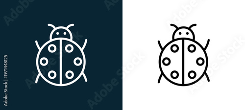 Two-color ladybug outline icon pair in black and white, editable stroke vector illustration for web, mobile apps, UI design, branding, and print from seasons
