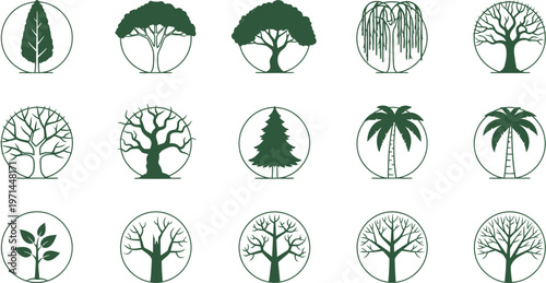 Collection of fifteen dark green tree in circles on white background nature plant forest growth