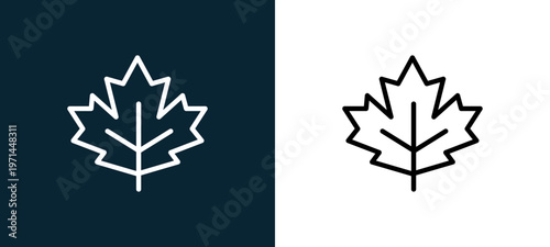 Two-color maple leaf outline icon pair in black and white, editable stroke vector illustration for web, mobile apps, UI design, branding, and print from seasons