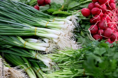 Photos Fresh green onion and radishes collected from the field and presented for sale by farmers and vegetable growers