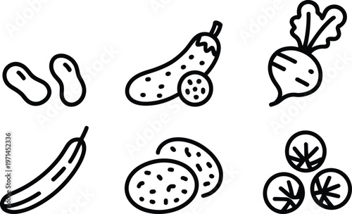 Illustrations of various types of vegetables and legumes in a simple line drawing style