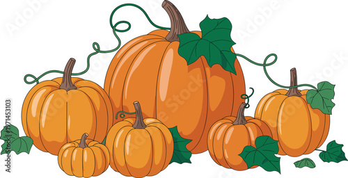 Pumpkin collection with leaves and vines in flat vector style isolated on white background for autumn harvest and seasonal decoration design