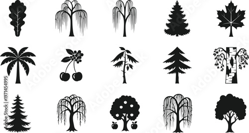 Collection of black silhouette of various trees and fruit oak leaf willow tree pine tree