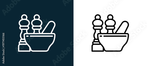 Two-color seasoning outline icon pair in black and white, editable stroke vector illustration for web, mobile apps, UI design, branding, and print from diet and nutrition