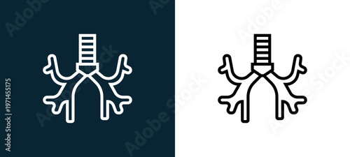 Two-color bronchus outline icon pair in black and white, editable stroke vector illustration for web, mobile apps, UI design, branding, and print from human organs