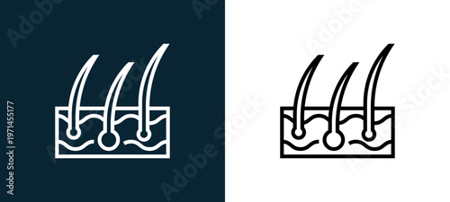 Two-color epidermis outline icon pair in black and white, editable stroke vector illustration for web, mobile apps, UI design, branding, and print from human organs