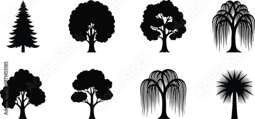 Collection of eight black tree silhouettes on white background pine tree deciduous tree weeping willow