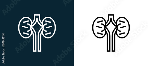 Two-color kidneys outline icon pair in black and white, editable stroke vector illustration for web, mobile apps, UI design, branding, and print from human organs