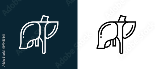 Two-color liver outline icon pair in black and white, editable stroke vector illustration for web, mobile apps, UI design, branding, and print from human organs