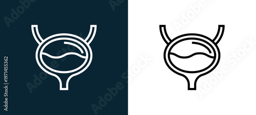 Two-color bladder outline icon pair in black and white, editable stroke vector illustration for web, mobile apps, UI design, branding, and print from human organs