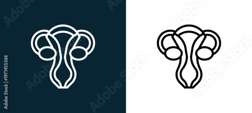 Two-color uterus outline icon pair in black and white, editable stroke vector illustration for web, mobile apps, UI design, branding, and print from human organs