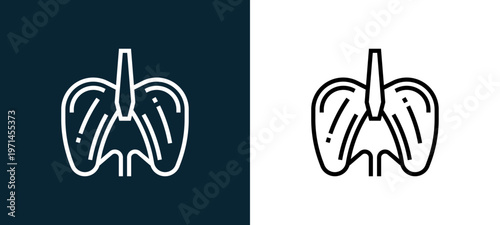Two-color diaphragm outline icon pair in black and white, editable stroke vector illustration for web, mobile apps, UI design, branding, and print from human organs