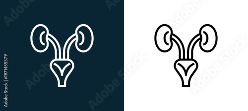 Two-color kidneys outline icon pair in black and white, editable stroke vector illustration for web, mobile apps, UI design, branding, and print from human organs