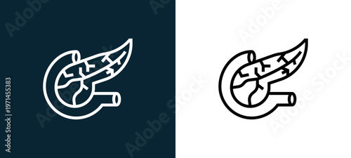 Two-color pancreas outline icon pair in black and white, editable stroke vector illustration for web, mobile apps, UI design, branding, and print from human organs