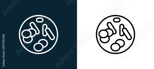 Two-color chromosome outline icon pair in black and white, editable stroke vector illustration for web, mobile apps, UI design, branding, and print from human organs