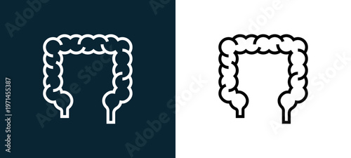 Two-color intestine outline icon pair in black and white, editable stroke vector illustration for web, mobile apps, UI design, branding, and print from human organs