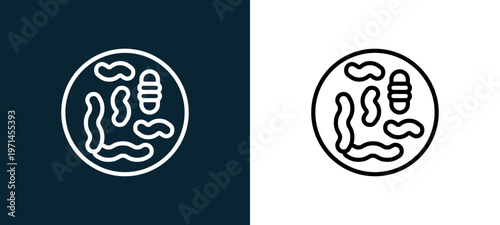 Two-color microorganism outline icon pair in black and white, editable stroke vector illustration for web, mobile apps, UI design, branding, and print from human organs