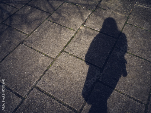 shadows on the ground