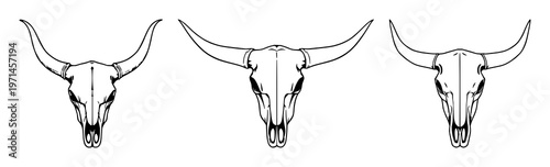 Longhorn cow skull set with black line art design featuring cattle, skull, hoofed animals with livestock and bovine, western