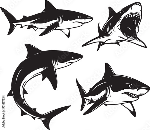 Four black and white shark illustrations on white background