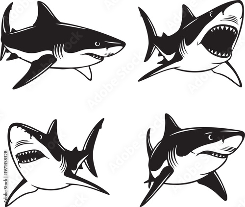 Four different shark illustrations in black and white