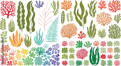 Large Seaweed and Coral Collection Vector Illustration Set Featuring Diverse Marine Plants Algae and Reef Elements for Ocean Underwater Nature and Aquarium Design Projects