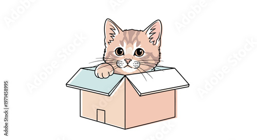 Cute orange kitten in box.