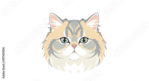 Furry Orange Cat Face Closeup Portrait.