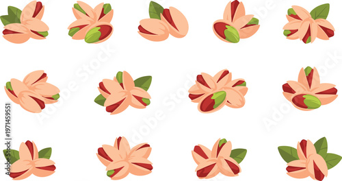 Pistachio Nut Collection Vector Illustration Set Featuring Decorative Arrangements of Open Shell Pistachios with Green Kernels and Leaves for Snack Food Design Projects