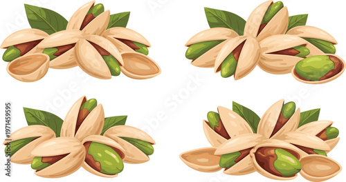 Pistachio Nut Collection Vector Illustration Set Featuring Open Shell Pistachios with Green Kernels and Leaves for Healthy Snack Food and Ingredient Design Projects