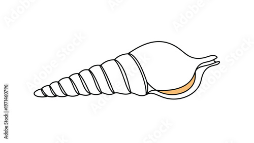Simple line art drawing of a long spiral seashell with subtle orange coloring in the opening on a white background.