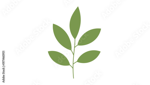 Obraz na płótnie Simple flat design illustration of a green leafy branch with five pointed leaves isolated on a plain white background