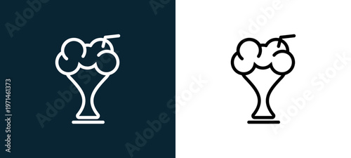 Two-color sorbet outline icon pair in black and white, editable stroke vector illustration for web, mobile apps, UI design, branding, and print from gastronomy