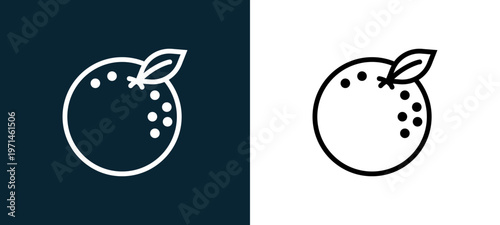 Two-color orange outline icon pair in black and white, editable stroke vector illustration for web, mobile apps, UI design, branding, and print from gastronomy