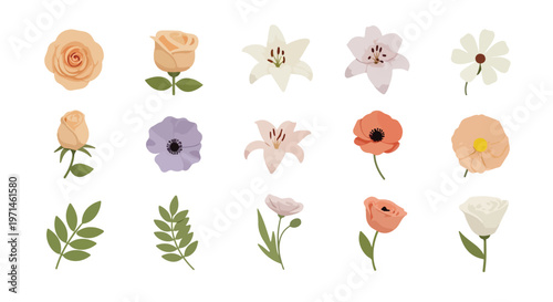 Collection of delicate watercolor floral illustrations featuring roses, lilies, poppies, and leaves on a white