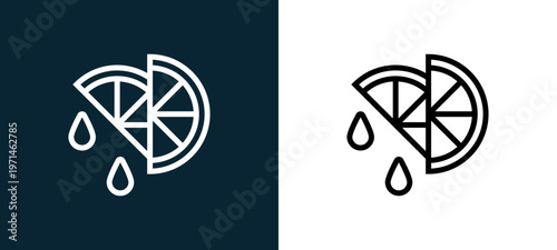 Two-color lemon outline icon pair in black and white, editable stroke vector illustration for web, mobile apps, UI design, branding, and print from gastronomy