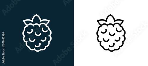 Two-color raspberry outline icon pair in black and white, editable stroke vector illustration for web, mobile apps, UI design, branding, and print from gastronomy