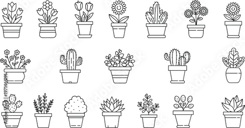Hand-Drawn Plant Collection Set Featuring Succulents, Cacti, Flowers, and Potted Plants for Gardening, Nature, and Home Decor Designs