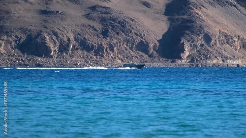 Cinematic shot of Pangong Lake during early morning, with soft golden light reflecting on the calm water as birds gently glide across the surface. Ideal moment for travel and nature storytelling.