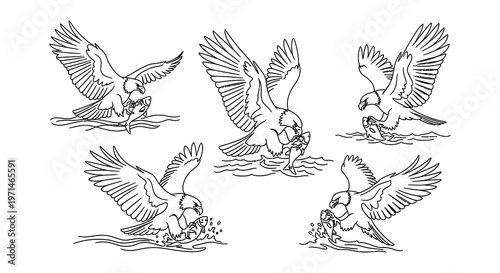 Line art illustration featuring a lion eagle bear deer and other elements