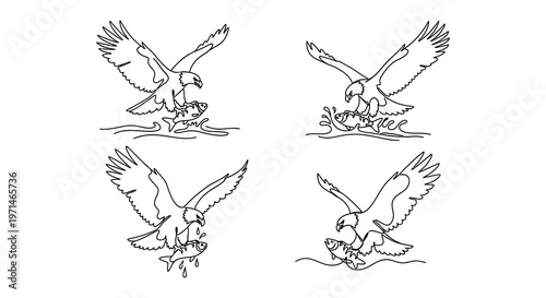 Line art illustration featuring a lion eagle bear deer and other elements