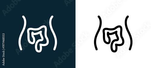 Two-color intestines outline icon pair in black and white, editable stroke vector illustration for web, mobile apps, UI design, branding, and print from body parts