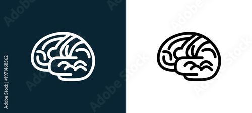 Two-color brain body organ outline icon pair in black and white, editable stroke vector illustration for web, mobile apps, UI design, branding, and print from body parts