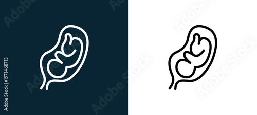 Two-color fetus in an uterus outline icon pair in black and white, editable stroke vector illustration for web, mobile apps, UI design, branding, and print from body parts
