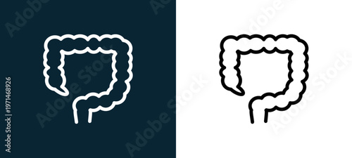Two-color large intestine outline icon pair in black and white, editable stroke vector illustration for web, mobile apps, UI design, branding, and print from body parts