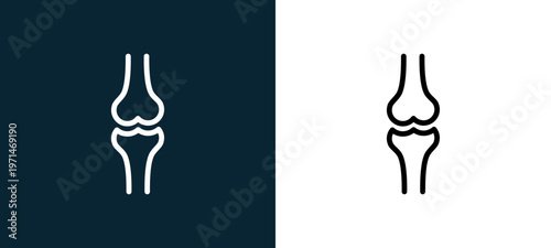 Two-color ball of the knee outline icon pair in black and white, editable stroke vector illustration for web, mobile apps, UI design, branding, and print from body parts